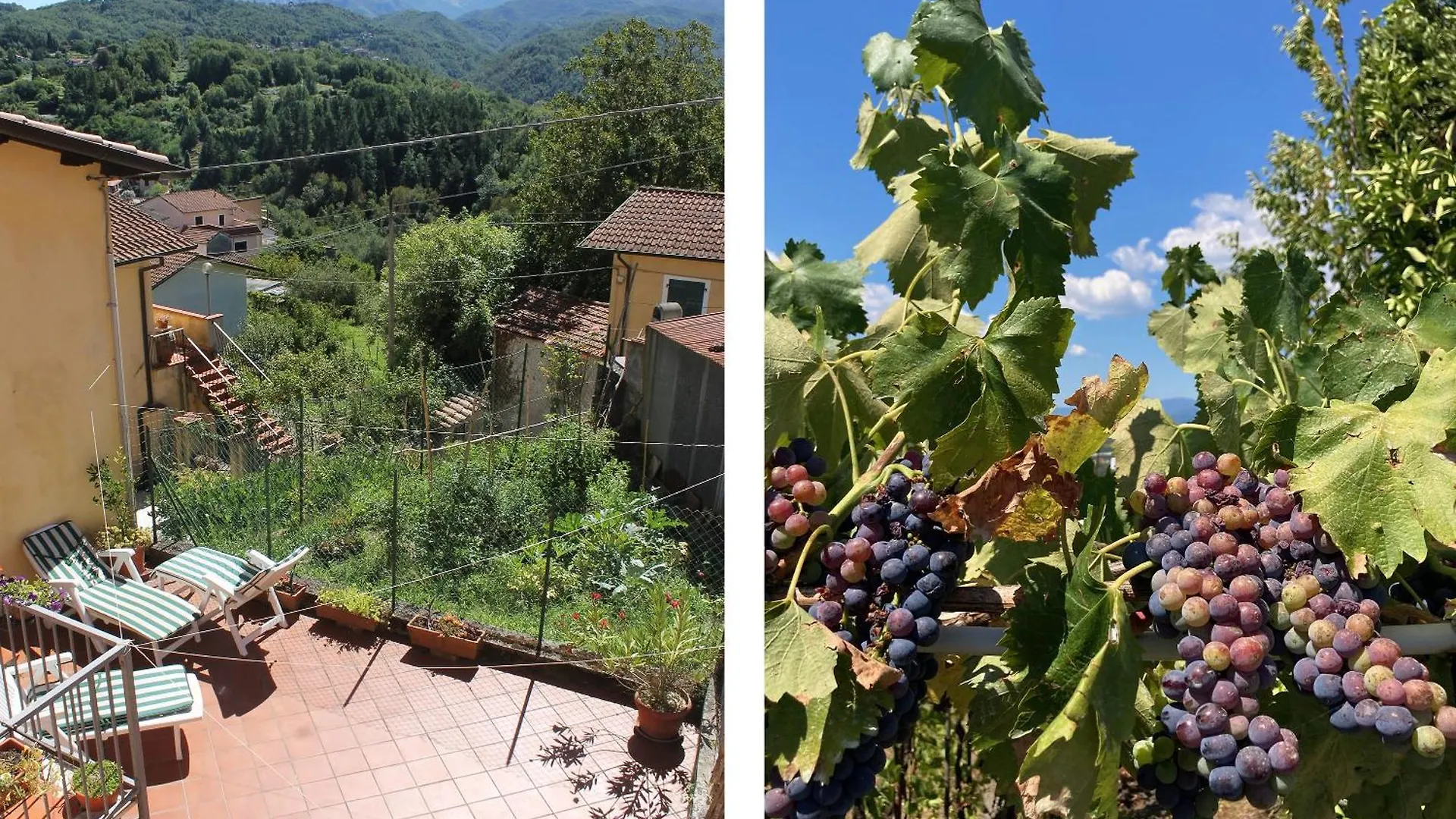 Tranquil Tuscan House With Pool And Scenic Views Rometta Italy